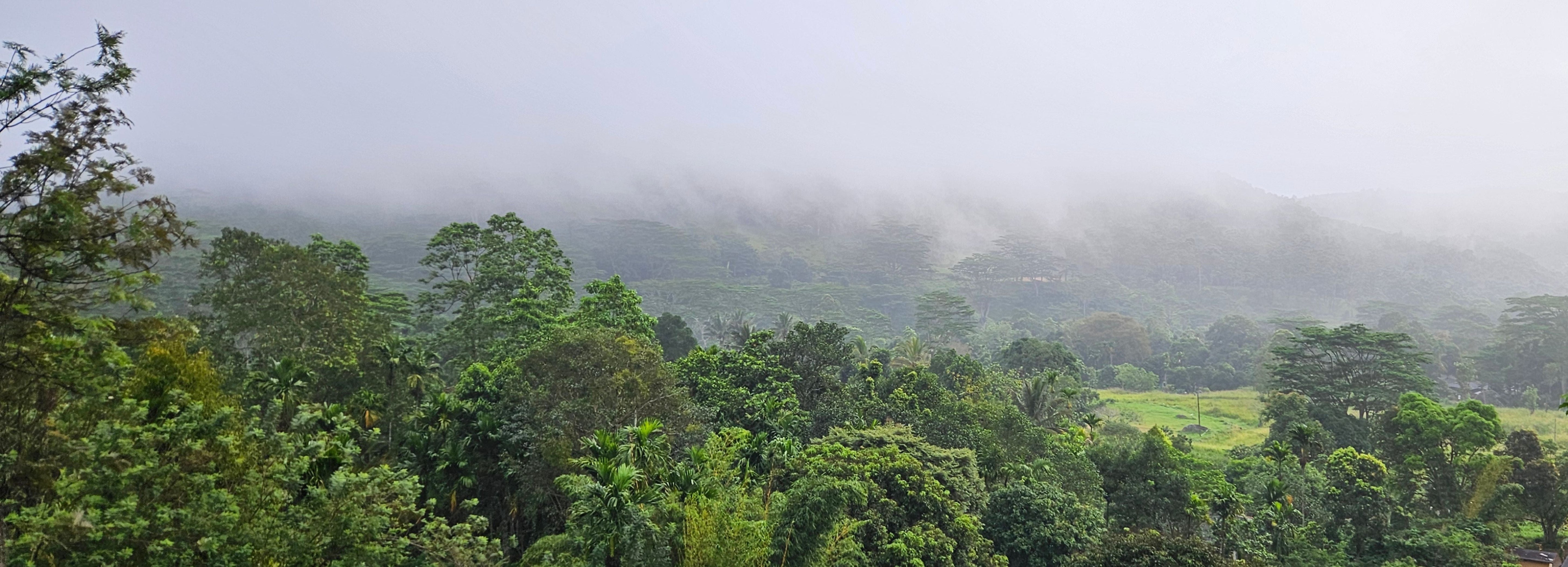 Exploring the Pekoe Trail - A Trekking Guide Through Tea Country in Sri Lanka