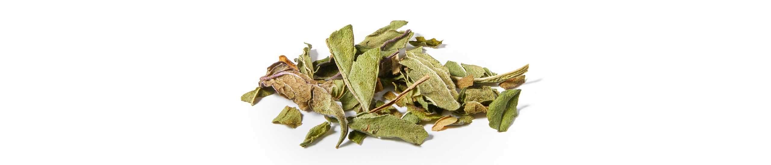 A collection of peppermint herbal tea leaves