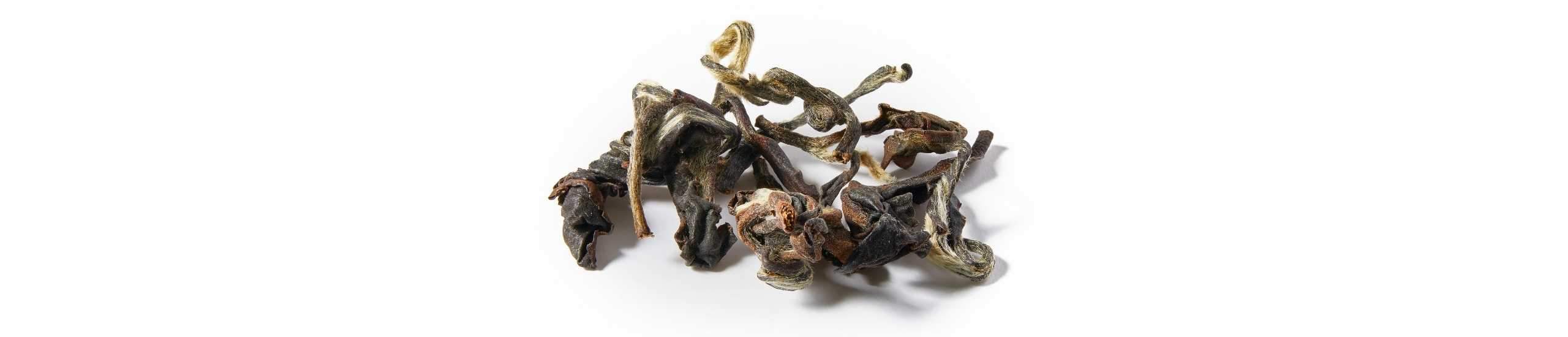 A pile of Supreme Oriental Beauty tea leaves, which may have a nootropic effect