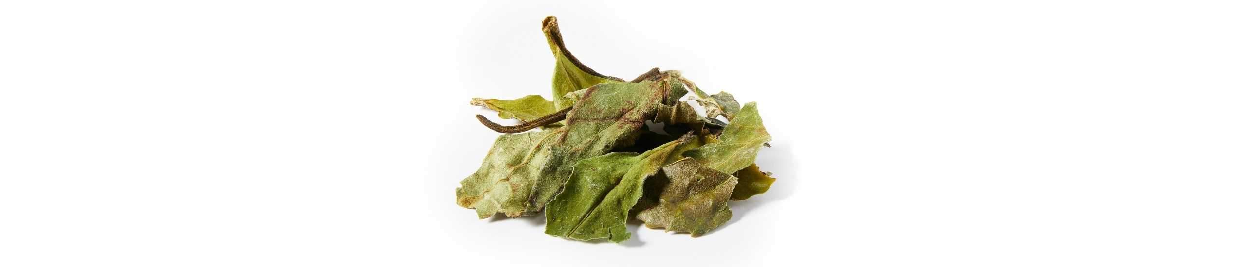 A colection of White Peony loose leaf tea leaves