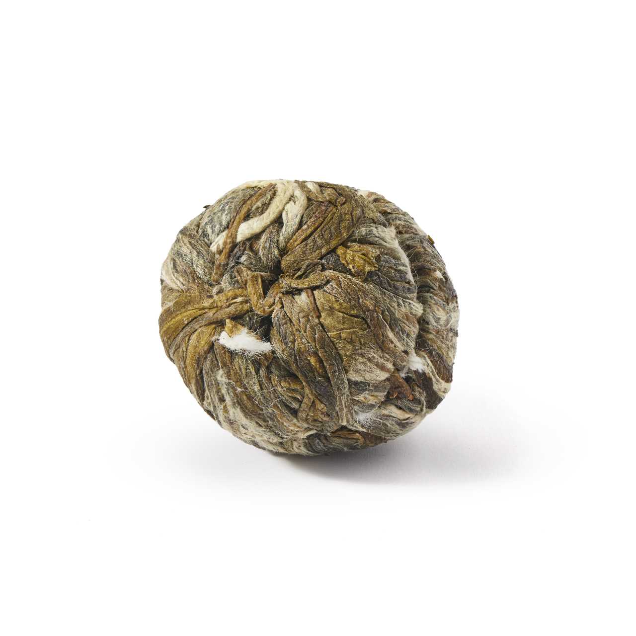 Flowering tea bulb