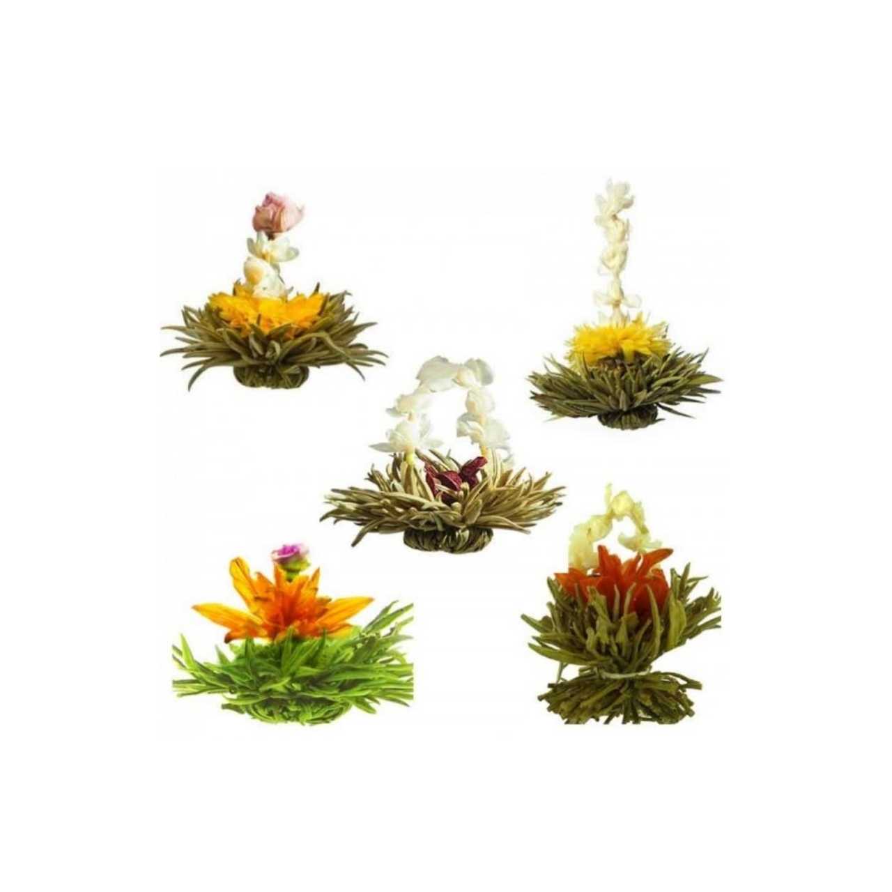 Artisan Flowering Tea Bulbs - Luxury Blooming Tea