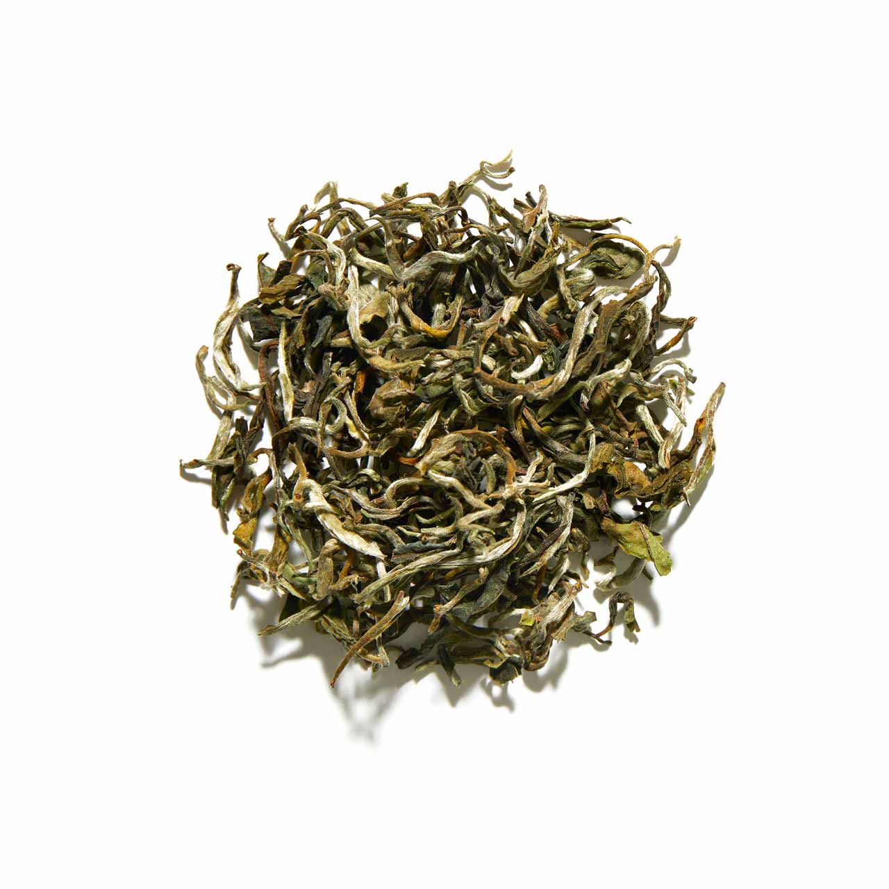 Jungpana First Flush Darjeeling