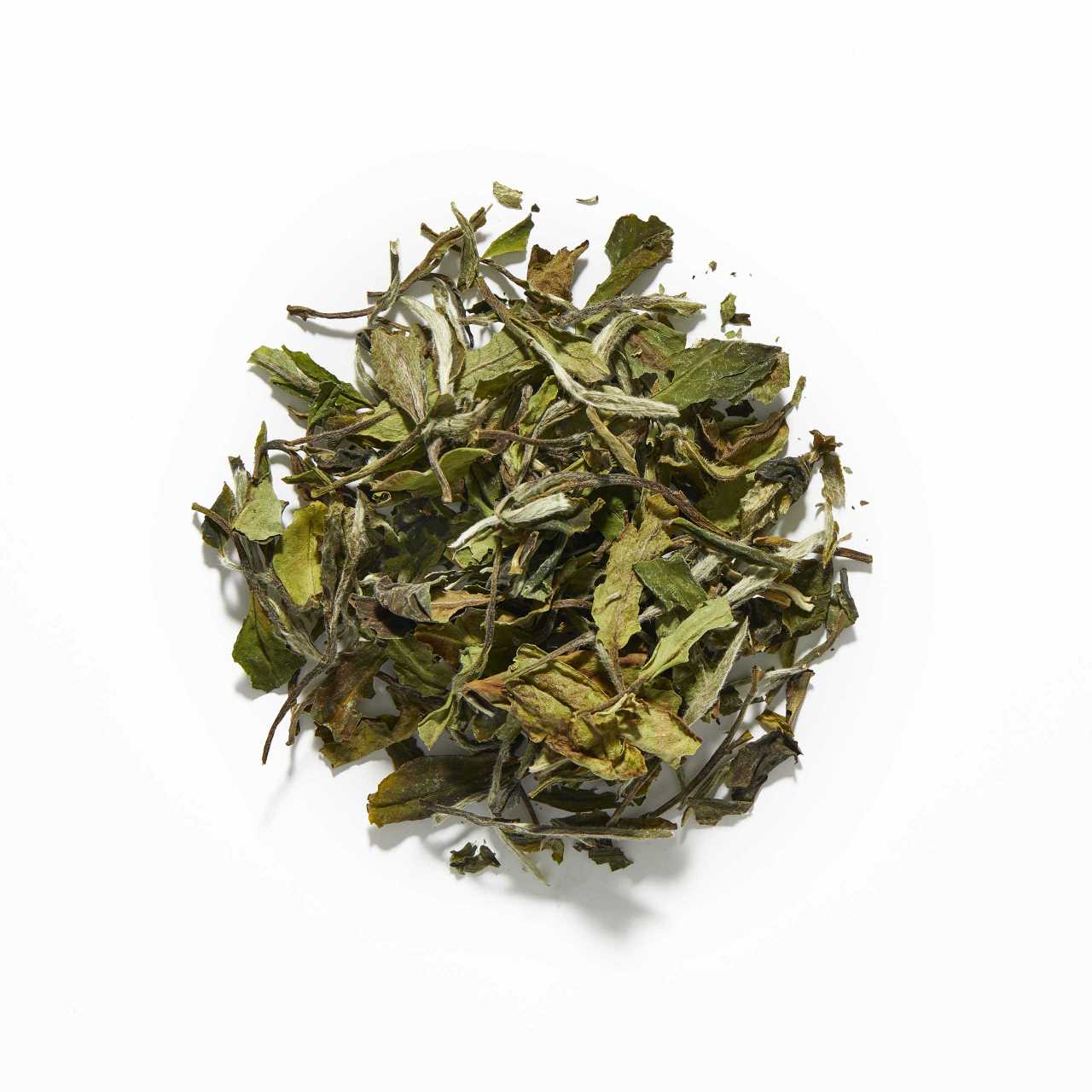 White Peony Loose Leaf Tea arranged in a circle