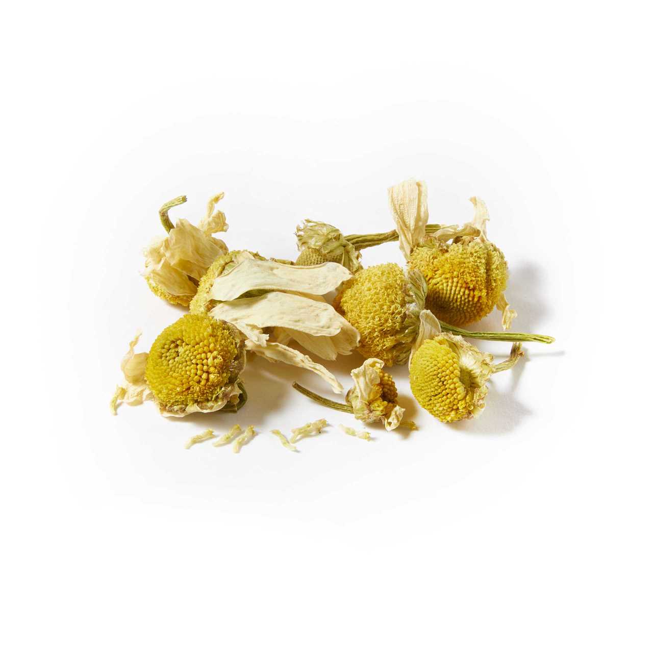 A macro pile of Whole Chamomile Blossoms Loose Leaf Tea