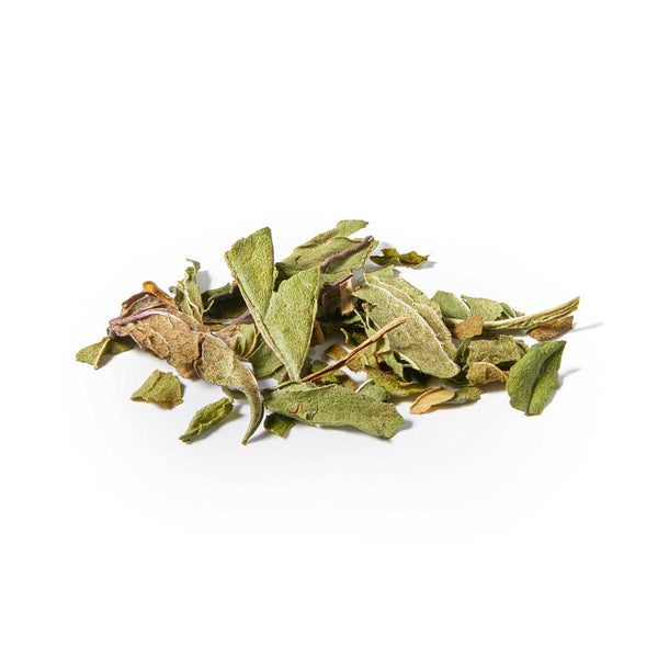 Organic Peppermint Tea Bags | Plastic Free | Single Ingredient Tea